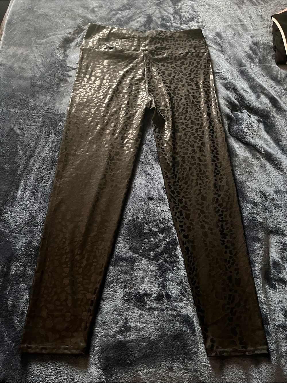 XL Black Glossy Animal Print Leggings